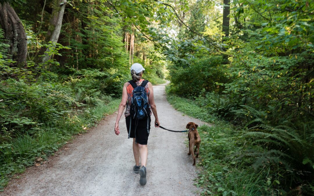 Keeping Your Pooch Protected During Strolls: Tips for Pet Parents